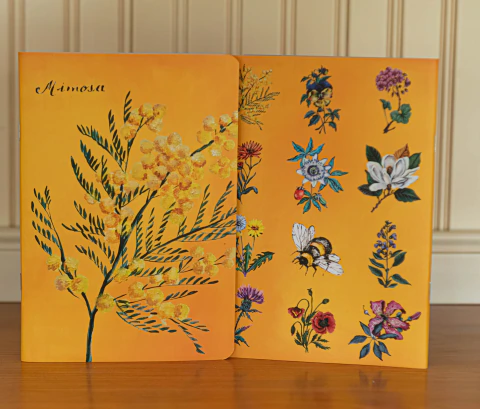 Libreta A5 Cápsula Flores Nativas Mimosa hojas lisas