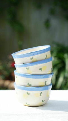 Cuarteto de bowl + individual - comprar online