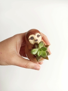 Mini vaso preguiça - poeira