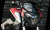 Imagen de Bajaj Dominar 250cc