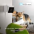 Petcube Cámara Monitoreo Mascotas 1080p C/ Visión Nocturna - tienda online