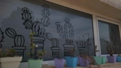 ESMERILADO CALADO - CACTUS - tienda online