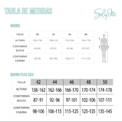 Bikini Sol Y Oro Sun Shine Vibe - Los Tres Patitos