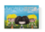 Puro pelo - Las gemelas Lola y Lila - comprar online