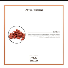 Condicionador Wella Nutri Enrich - Espacovipby