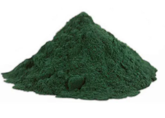 Spirulina em Pó