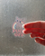 Sticker Transparente, Fuck off 