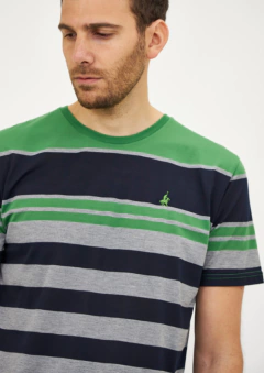 Remera CAIRU Wellington Polo Club en internet