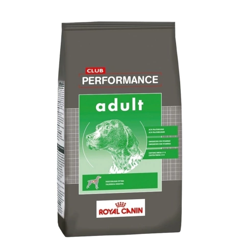 PERFORMANCE ADULTO