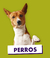 Banner de MasCotitasPatagonicas