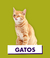 Banner de MasCotitasPatagonicas