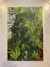 Selva