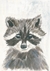 Animalitos a pedido en internet