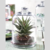 Campana Mini Pattiseie (96889) - comprar online