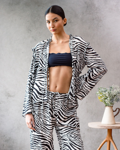 Conjunto de Zebra