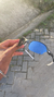 ROMEO 2 X METAL LENTES LIQUID METAL