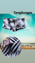 Sunga Estampada - Folhas Preto.