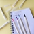 Brush Pen NEWPEN Ginza Pro - Anotar! Papelaria Criativa