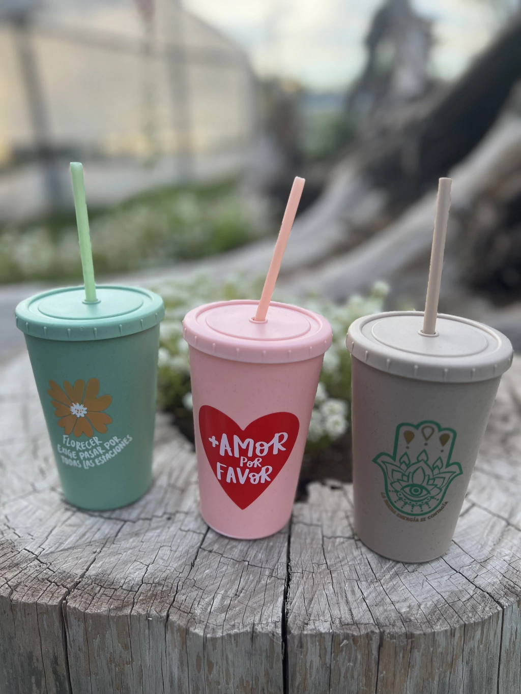 Vasos plástico con sorbete ✨