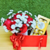 Kit arranjo com rosas naturais vermelhas e Bombons Ferrero Rocher com 8