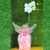 Arranjo de orquídea branca Phalaenopsis vaso cerâmica rosa
