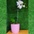 Arranjo de orquídea branca Phalaenopsis vaso cerâmica rosa - loja online