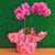 Arranjo de orquídea natural Phalaenopsis rosa - comprar online