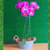 Arranjo vaso metal 2 orquídeas lilás Phalaenopsis natural - loja online