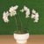 Arranjo com 2 mini orquídeas Phalaenopsis brancas - loja online