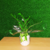 Zamioculcas natural vaso cerâmica branco - comprar online