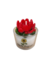 Vela Copo Drink Modelo Suculenta Mesclada Vermelho E Verde - comprar online