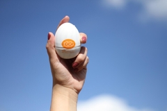 Egg