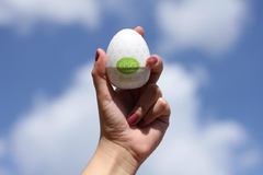 Imagem do Egg