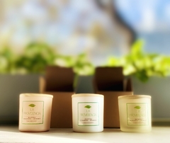 Velas de Soja Premium - comprar online