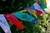 Banderines de Intenciones - comprar online