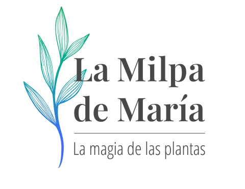 La Milpa de María