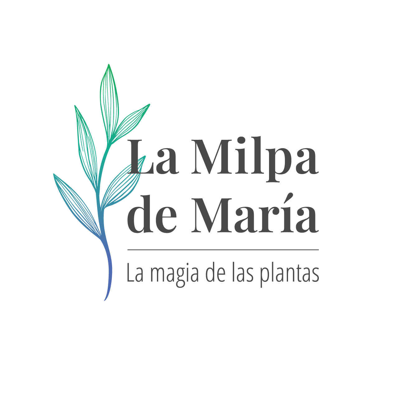 La Milpa de María