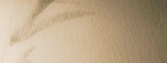 Banner de la categoría Línea Facial