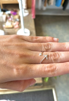 Anillo viaje