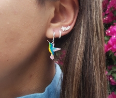 Colibrí de colores!!!