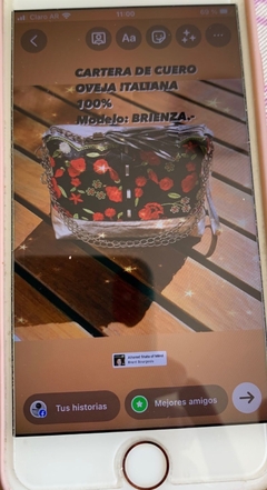 Imagen de CARTERA PLATEADA Y BORDADA MODELO: “BRIENZA”.-