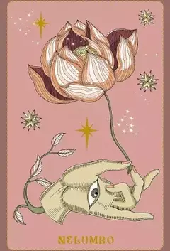 Herbarium Oráculo - Tienda Esoterica Online en Buenos Aires ARGENTINA CABA Comprar Cartas Mazos Tarot Cursos Lecturas