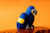 Pelúcia Arara Azul na internet
