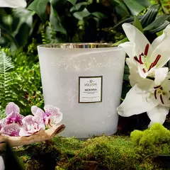 MOKARA ORCHID VELA EN FRASCO DE VIDRIO GIGANTE en internet