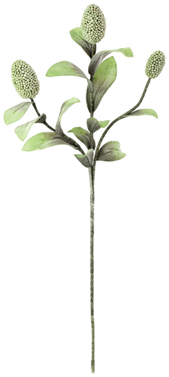 FLORBOTANICA 2065
