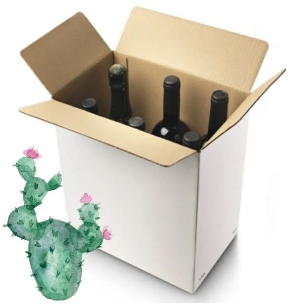 Cajas x6