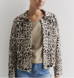 Cardigan animal