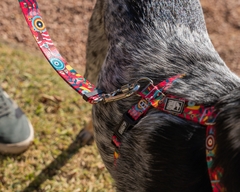 Banner da categoria Peitorais