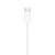 Imagen de Auriculares EarPods tipo C (iphone 15 - 16)