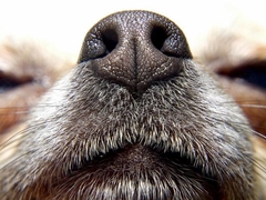 Banner da categoria Linha Aromaterapia